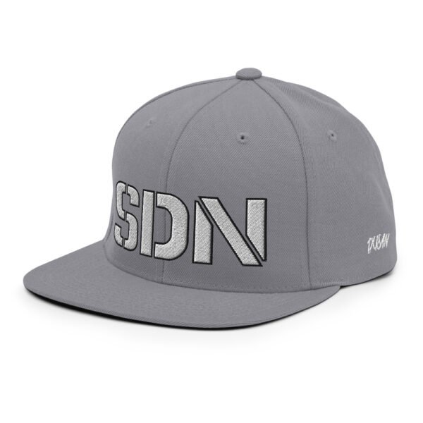 classic snapback silver left front 61571636b1425